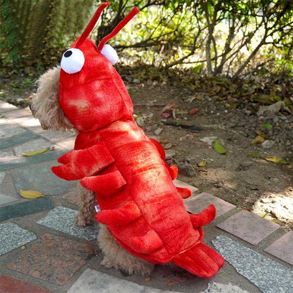 Halloween Lobster Pet Costume