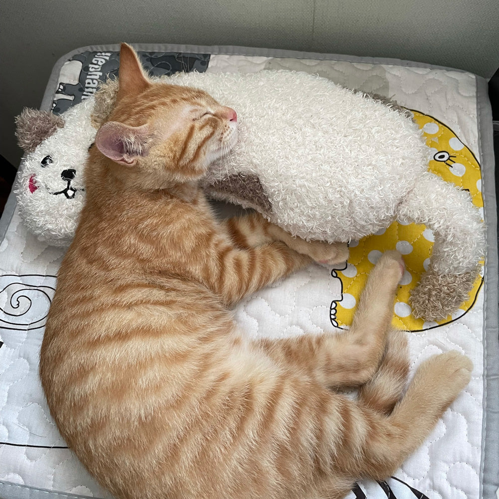 Cat Lovely Cozy Pillow