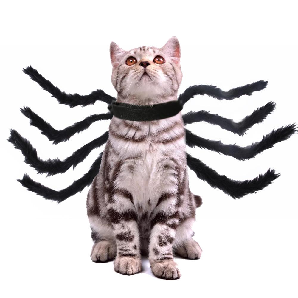 Cat And Dog Spider Costume