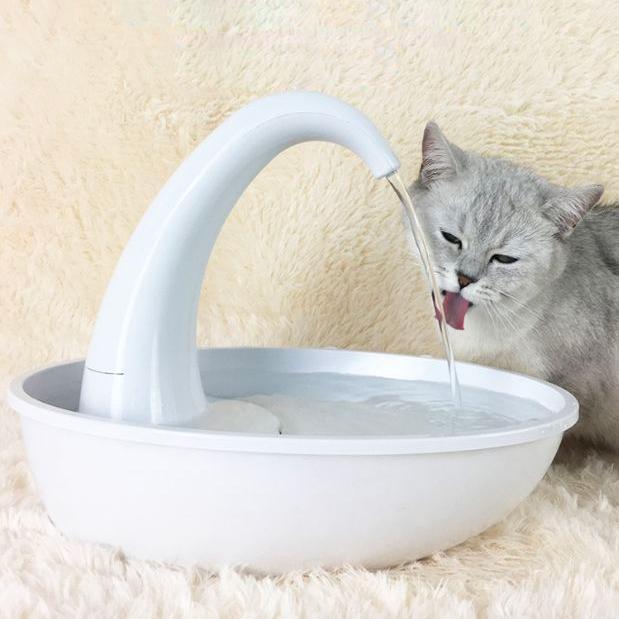Automatic Cat Drinking Fountain