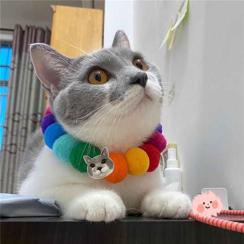 Cats Rainbow Hairball Collars