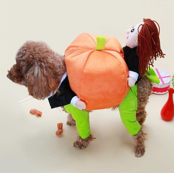 Cute Carrying Pumpkin Pet Costume