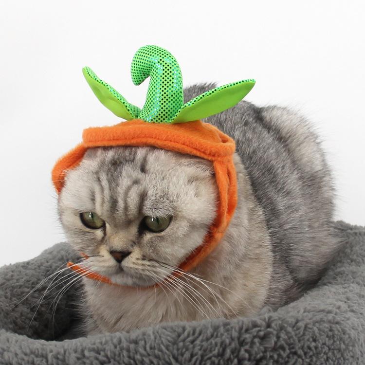 Halloween Pumpkin Shape Pet Costume