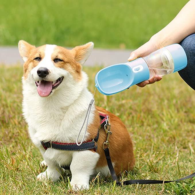 2-in-1 Pets Outdoor Drinking and Feeding Dispenser