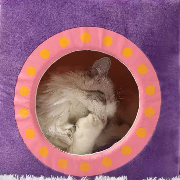 Foldable Pet House Cat Cute Beds