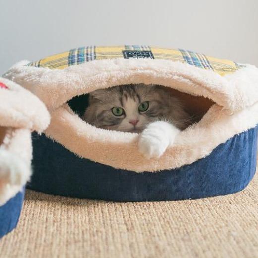 Hamburger Warming Cat Bed