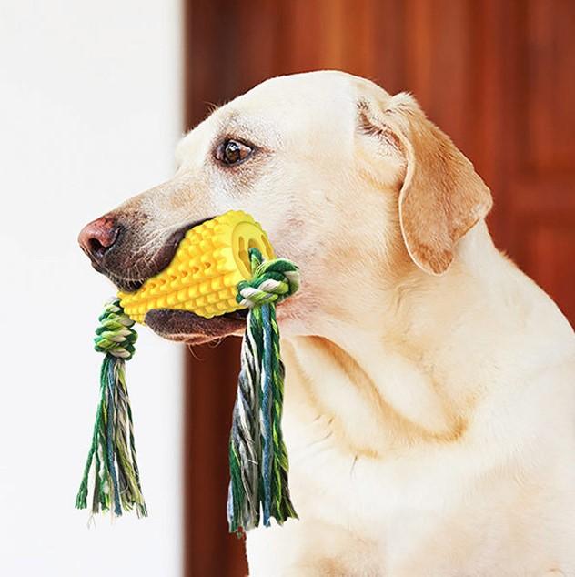 Corn Shape Dog Toys