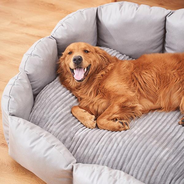 Plus Detachable Dog Sofas Bed
