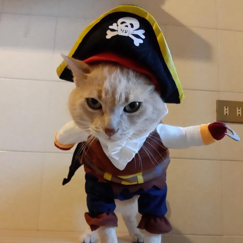 Funny Pet Clothes Cosplay Halloween Cute Costume