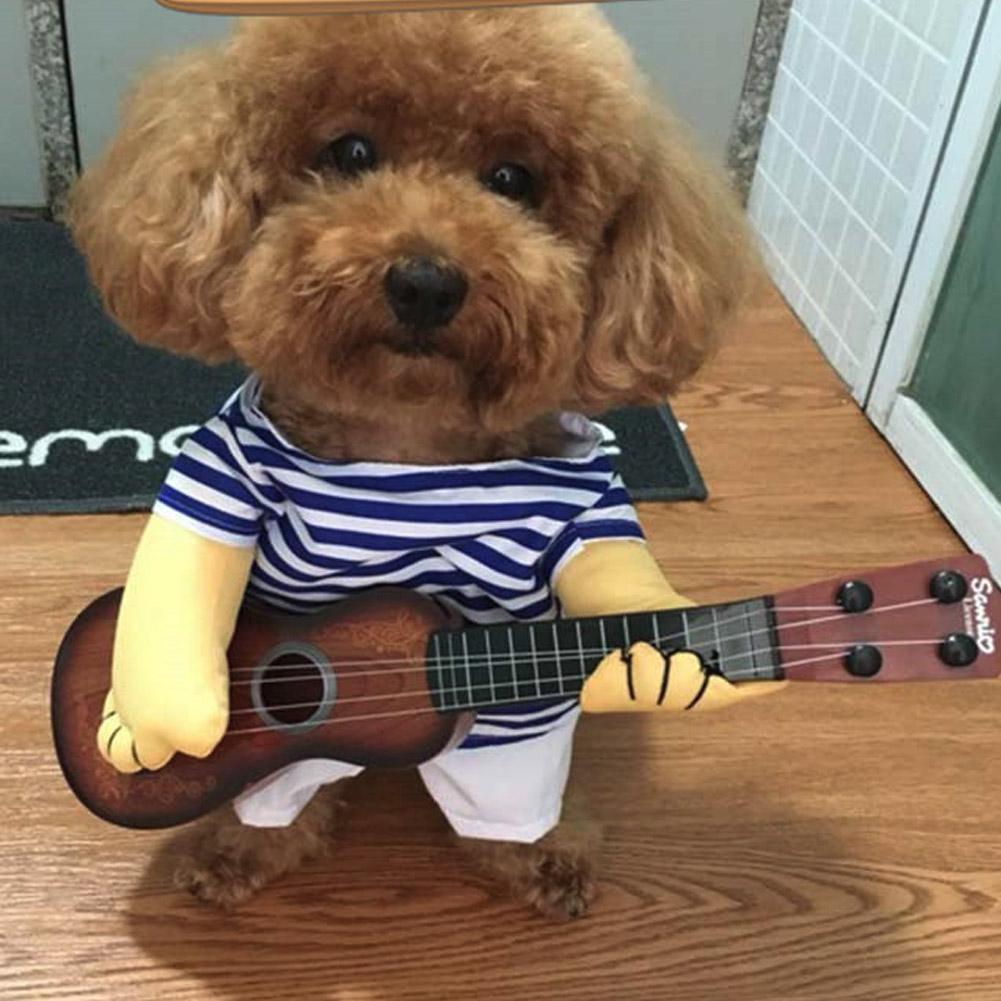 Cute Guitar Pet Costume
