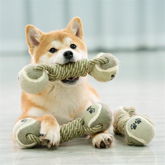 Knot Dog Chew Toys