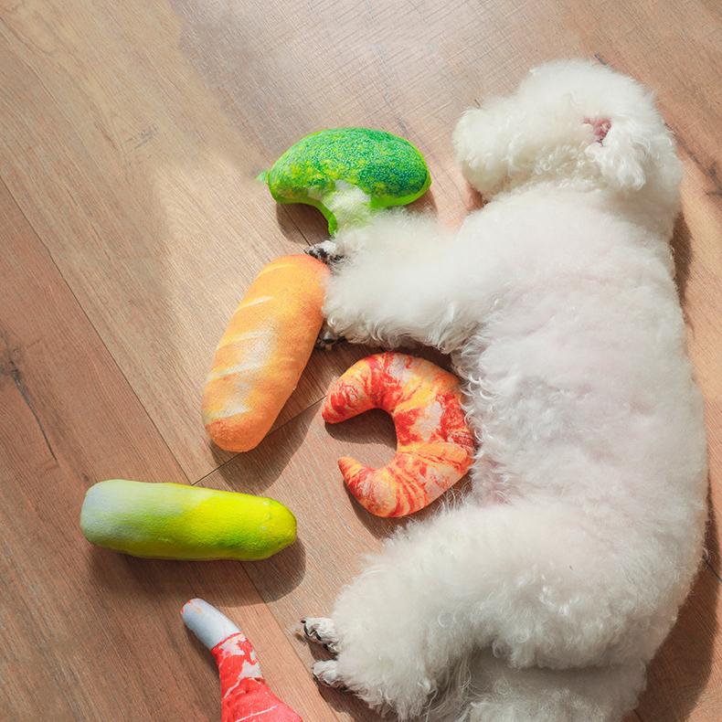 6 PCS Food Dog Toys