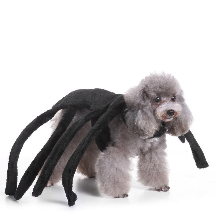 Halloween Funny Spider Rocket Pet Costume