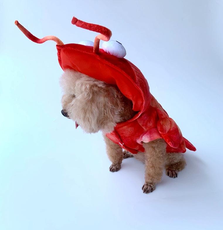 Halloween Lobster Pet Costume