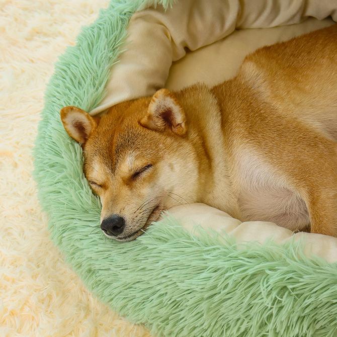 Warm Bed House Soft Long Plush Bed 2 In 1 Dog Bed