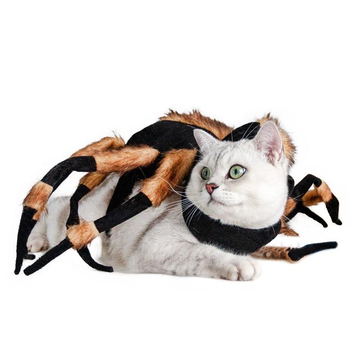 Halloween Funny Spider Pet Costume