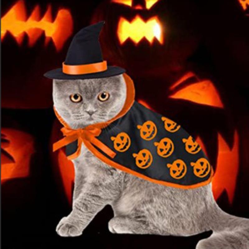 Pumpkin Printed Pet Costume
