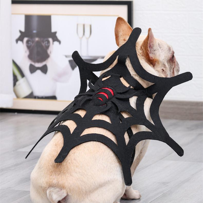 Halloween Spider Web Pet Strap