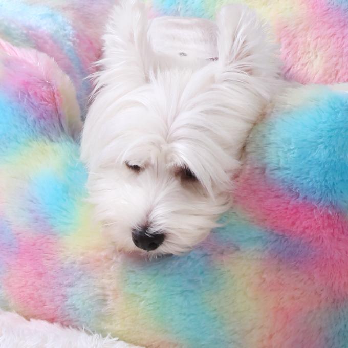 Colorful Unicorn Shape Pet Bed