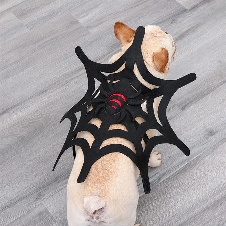 Halloween Spider Web Pet Strap