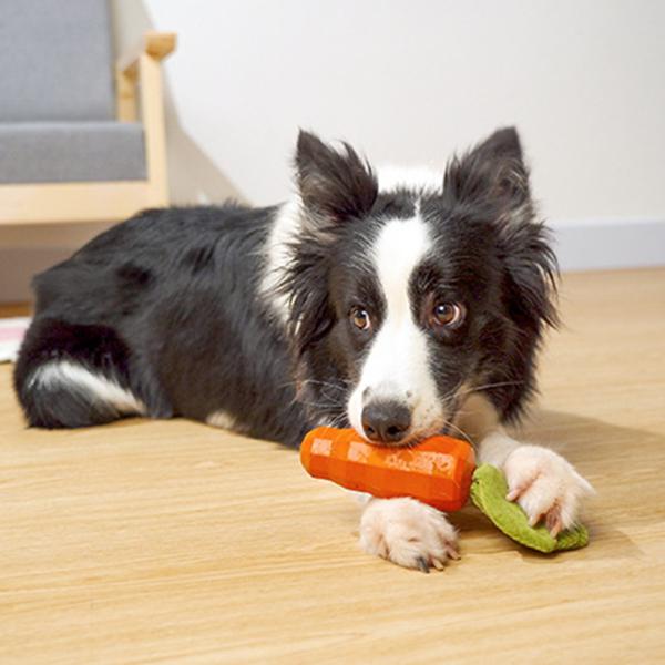 Carrot Dog Chew Toys