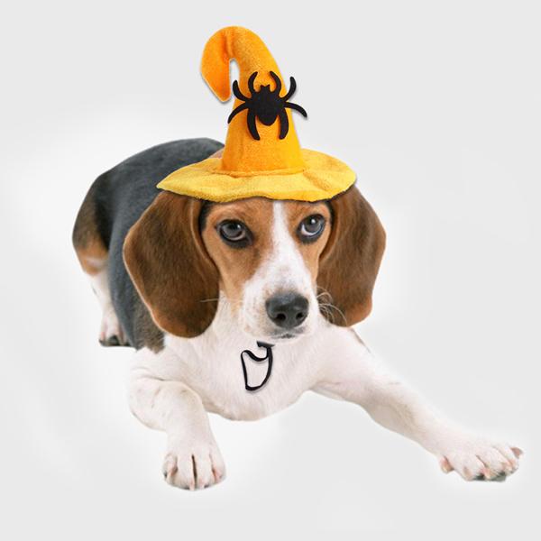 Halloween Funny Hat