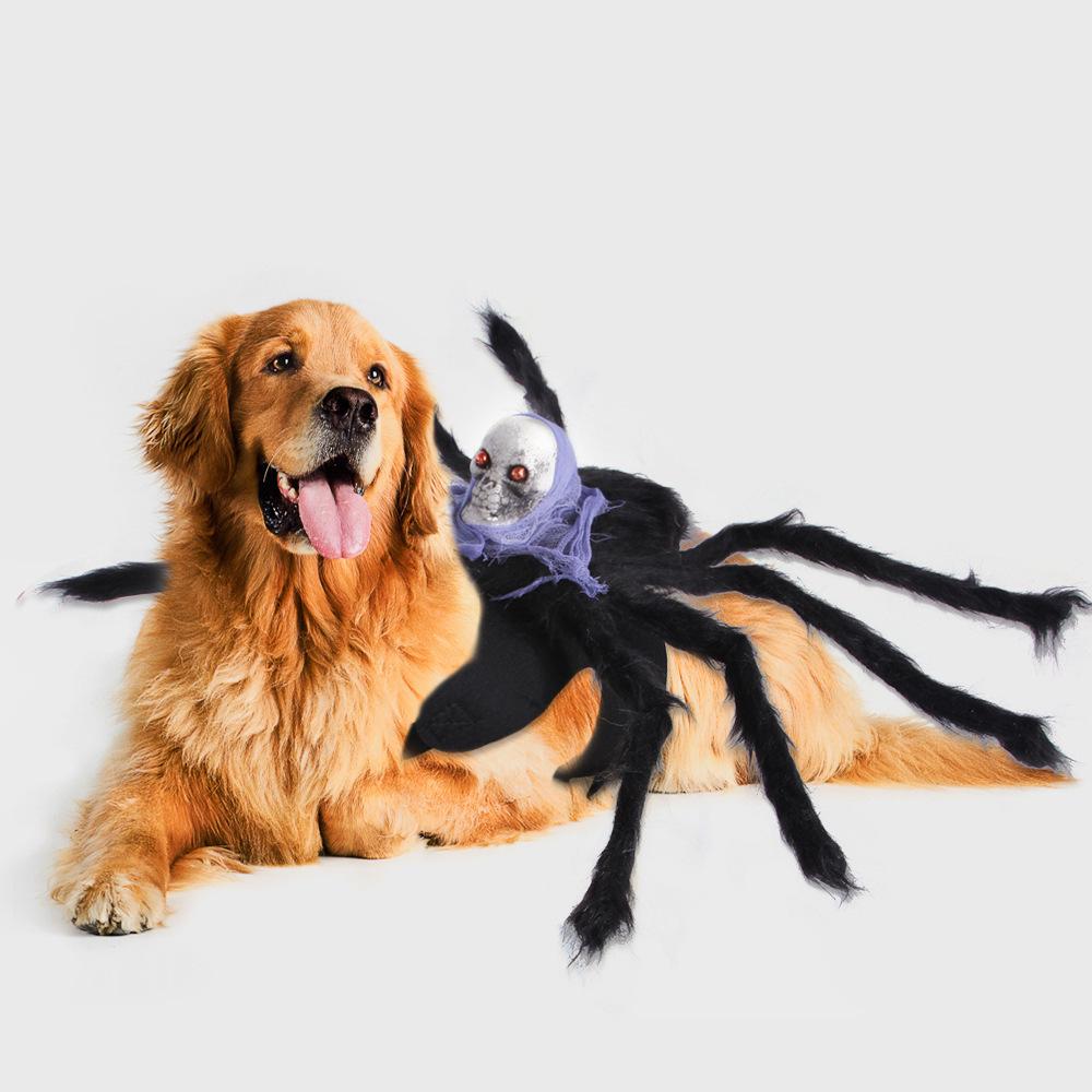 Halloween Spider Pet Chest Strap