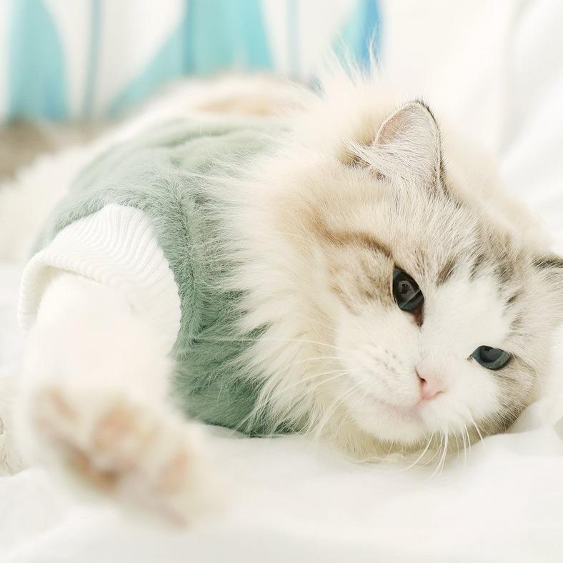 Cute Warming Pet Clothes