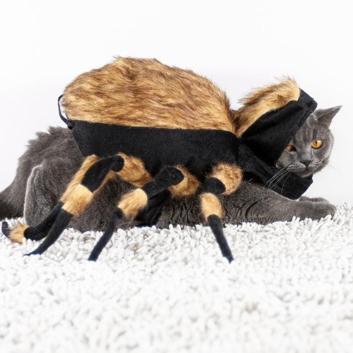 Halloween Funny Spider Pet Costume