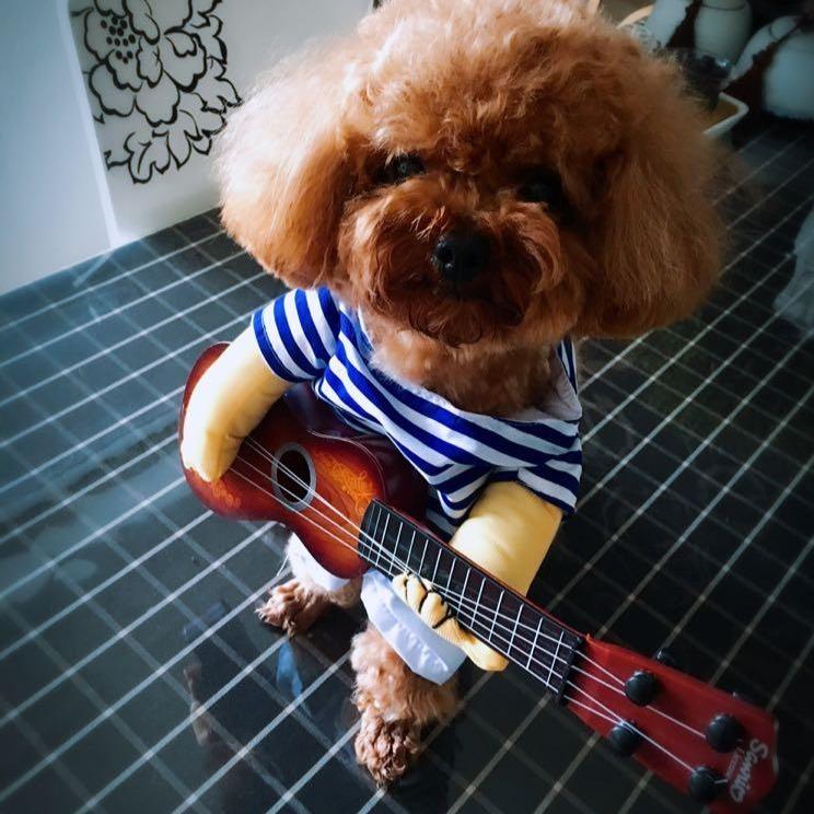 Cute Guitar Pet Costume