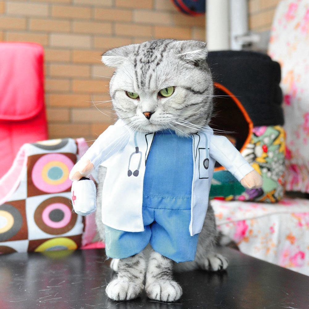 Funny Doctor Pet Costume